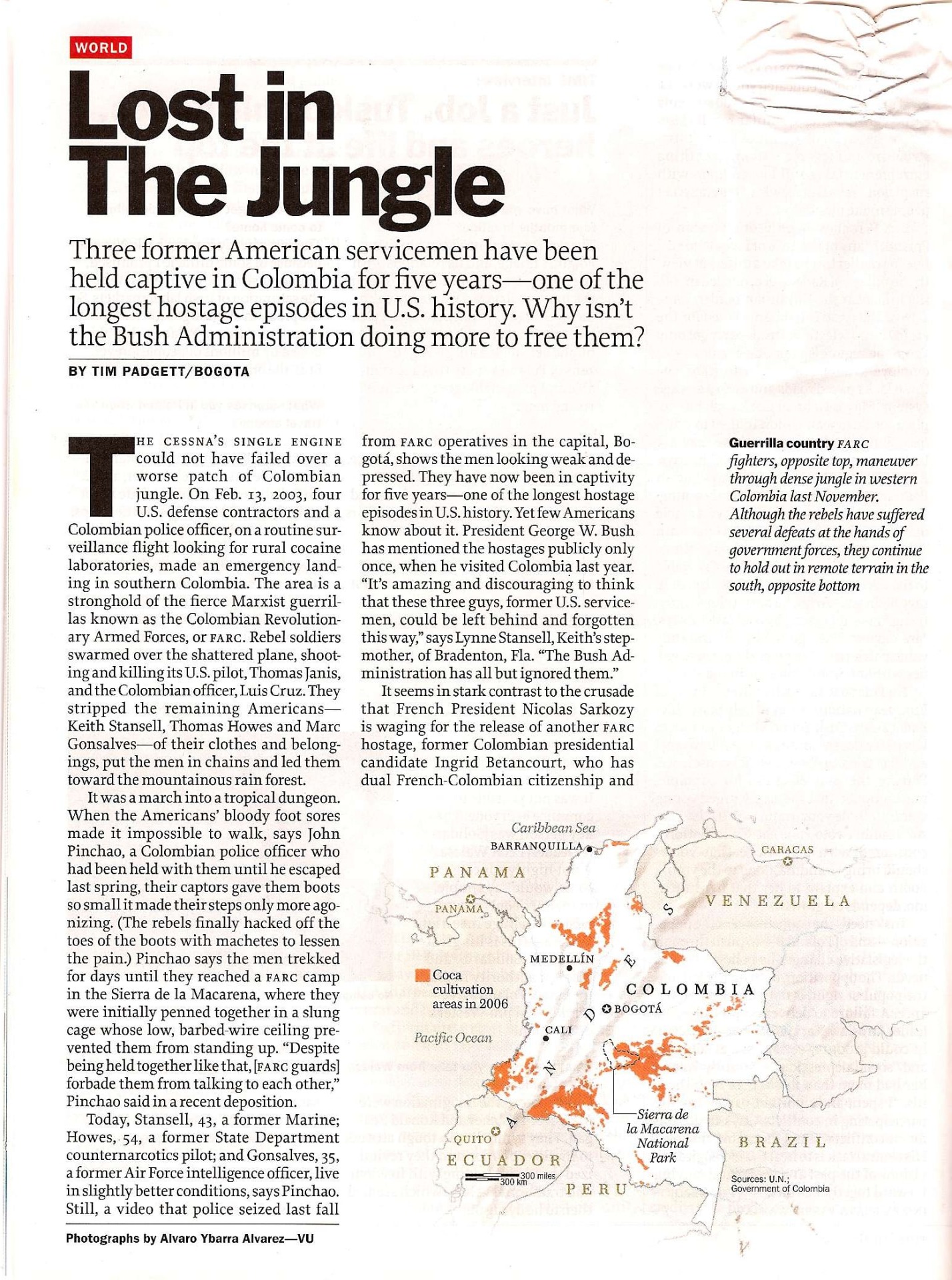Lost in The Jungle