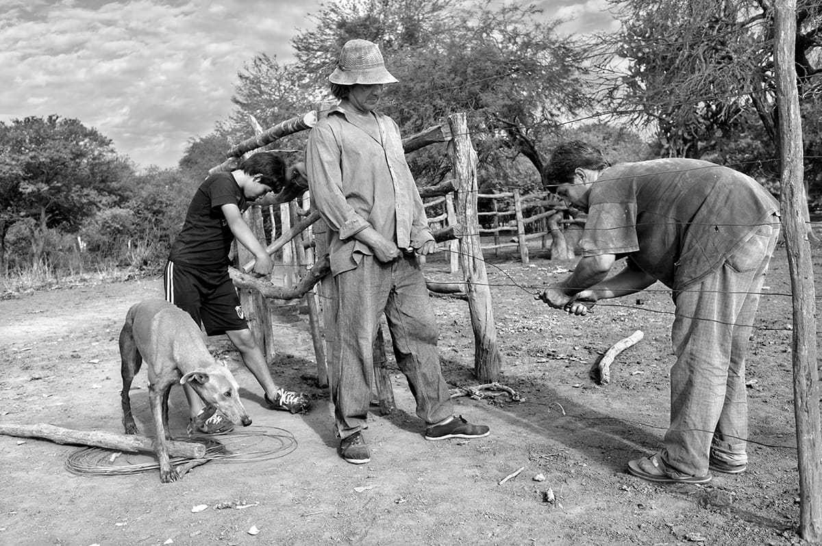 Three men work at a wooden fence post on dry ground while a dog stands beside them.