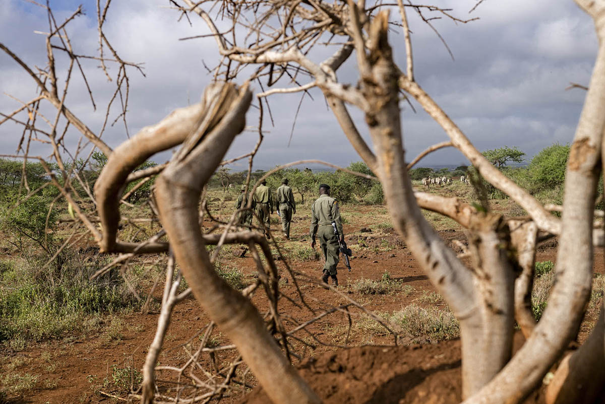 A line of rangers walks across red earth, framed by the pale twisted branches of a dry bush in the foreground.