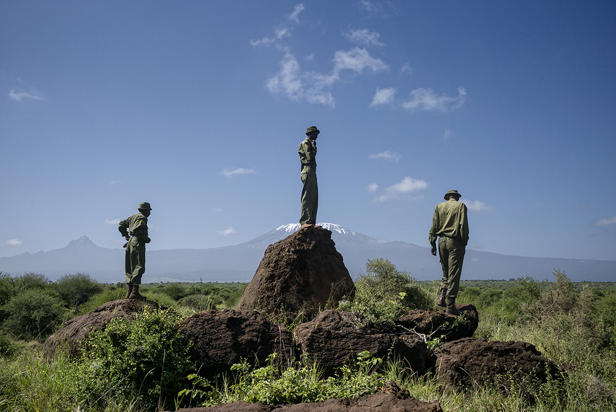 Three rangers in green uniforms stand on rocks scanning the bush, with snow-capped Mount Kilimanjaro on the horizon.