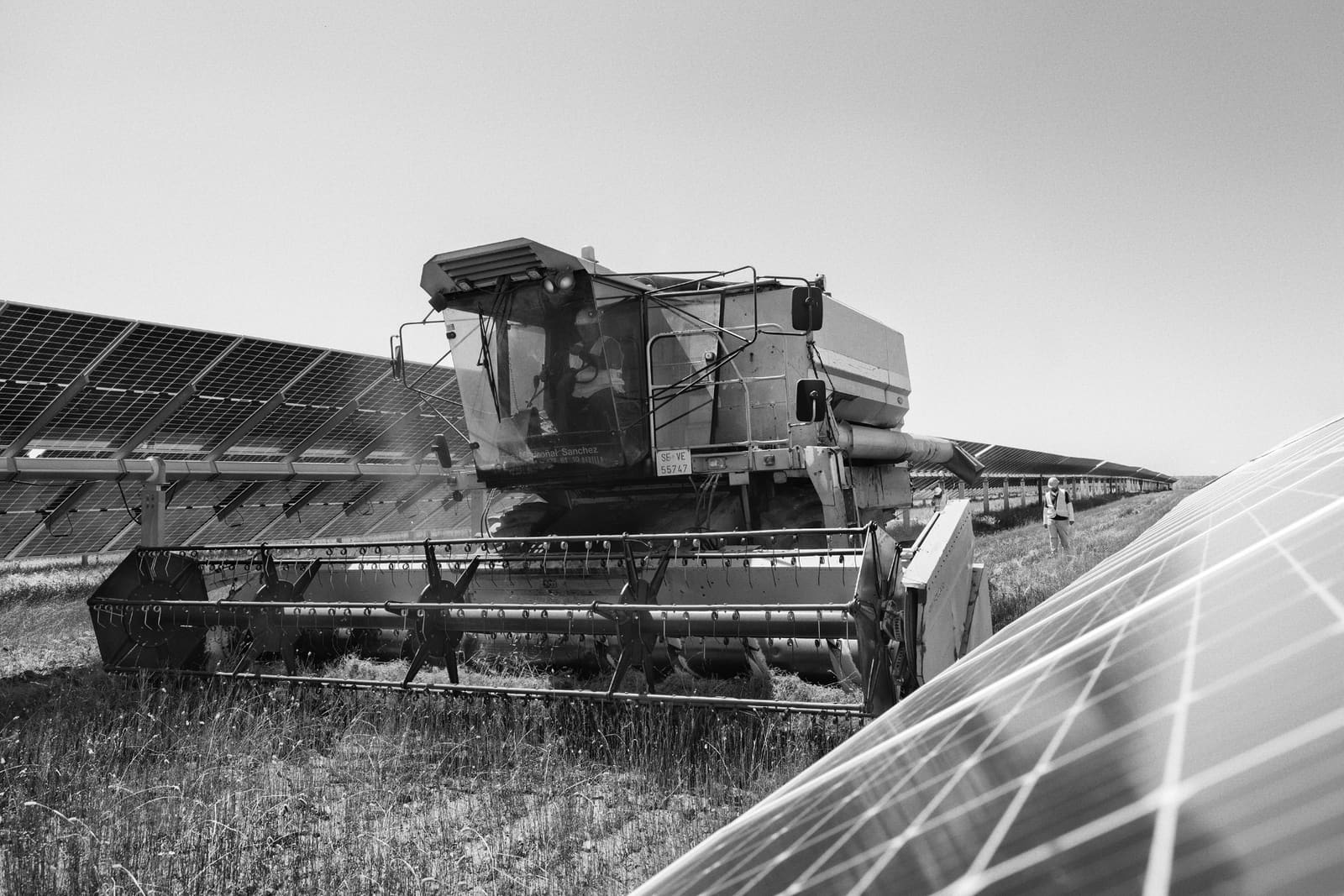 Farmer harvesting flax grown beneath solar panels at the Las Corchas agrivoltaic plant, Seville, Spain, 2023