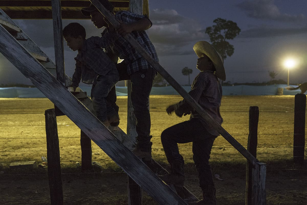 Children climbing the wooden stands of a rodeo arena at dusk