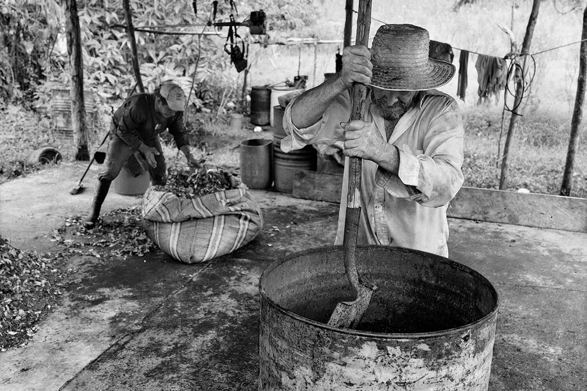 Cocaleros process coca leaves into base paste inside a rudimentary jungle laboratory in Santa Elena, Caquetá, 2013