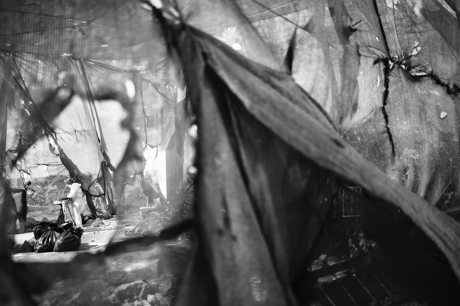 Worker cleaning inside a safety enclosure at the Compostilla thermal power plant, Castilla y León, Spain, 2024