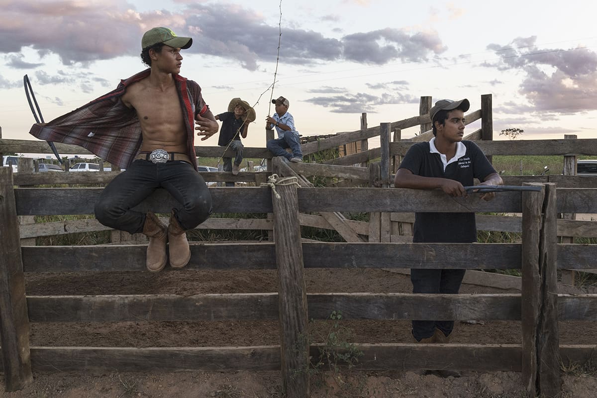 Young gauchos resting after gathering cattle in a cleared area of the Amazon rainforest