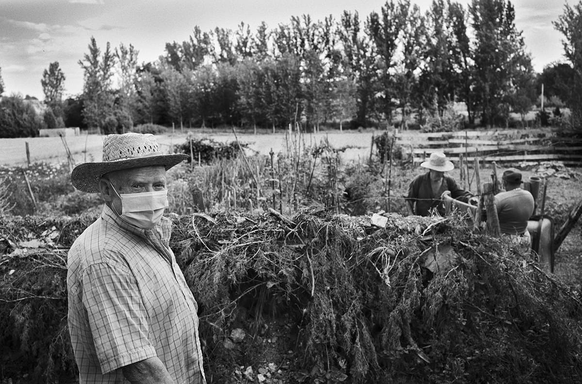 Elderly man wearing a face mask standing in a vegetable garden in rural Spain during the COVID-19 pandemic.