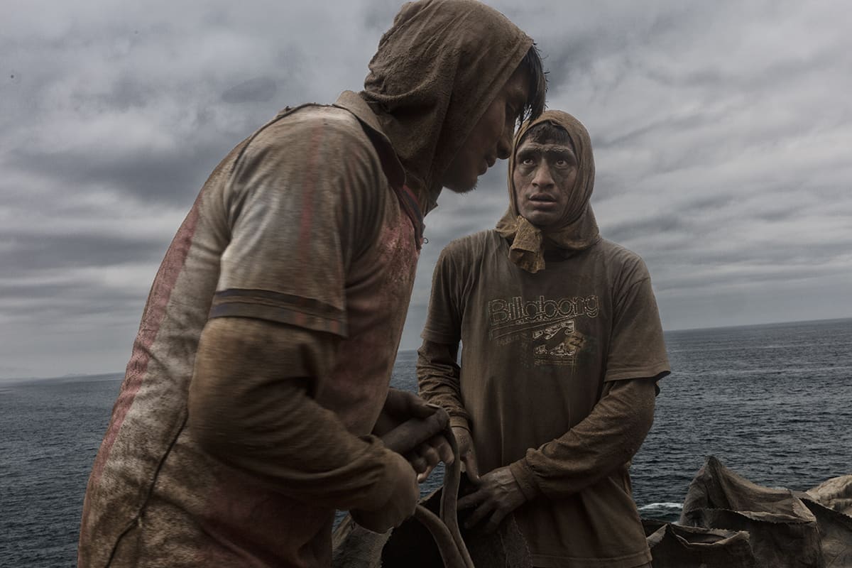 Portrait of an exhausted guano worker during the extraction season on Isla Asia, Peru.