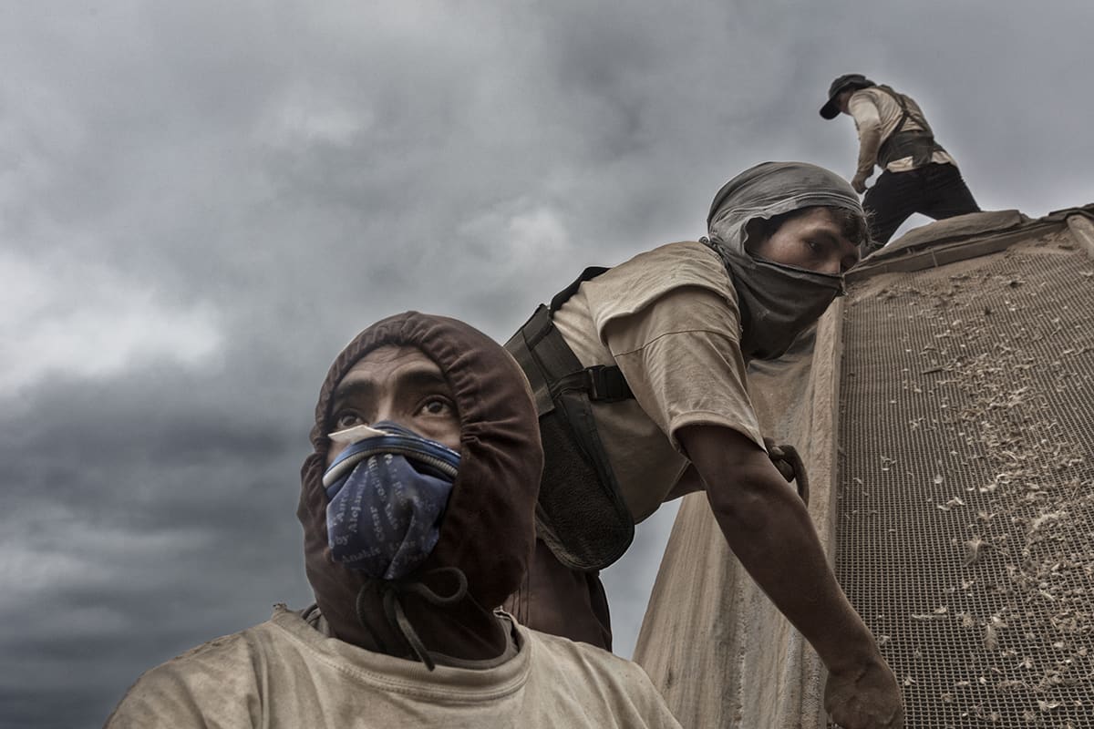 Guano workers with their faces covered against the dust while sifting guano on Isla Asia, Peru.