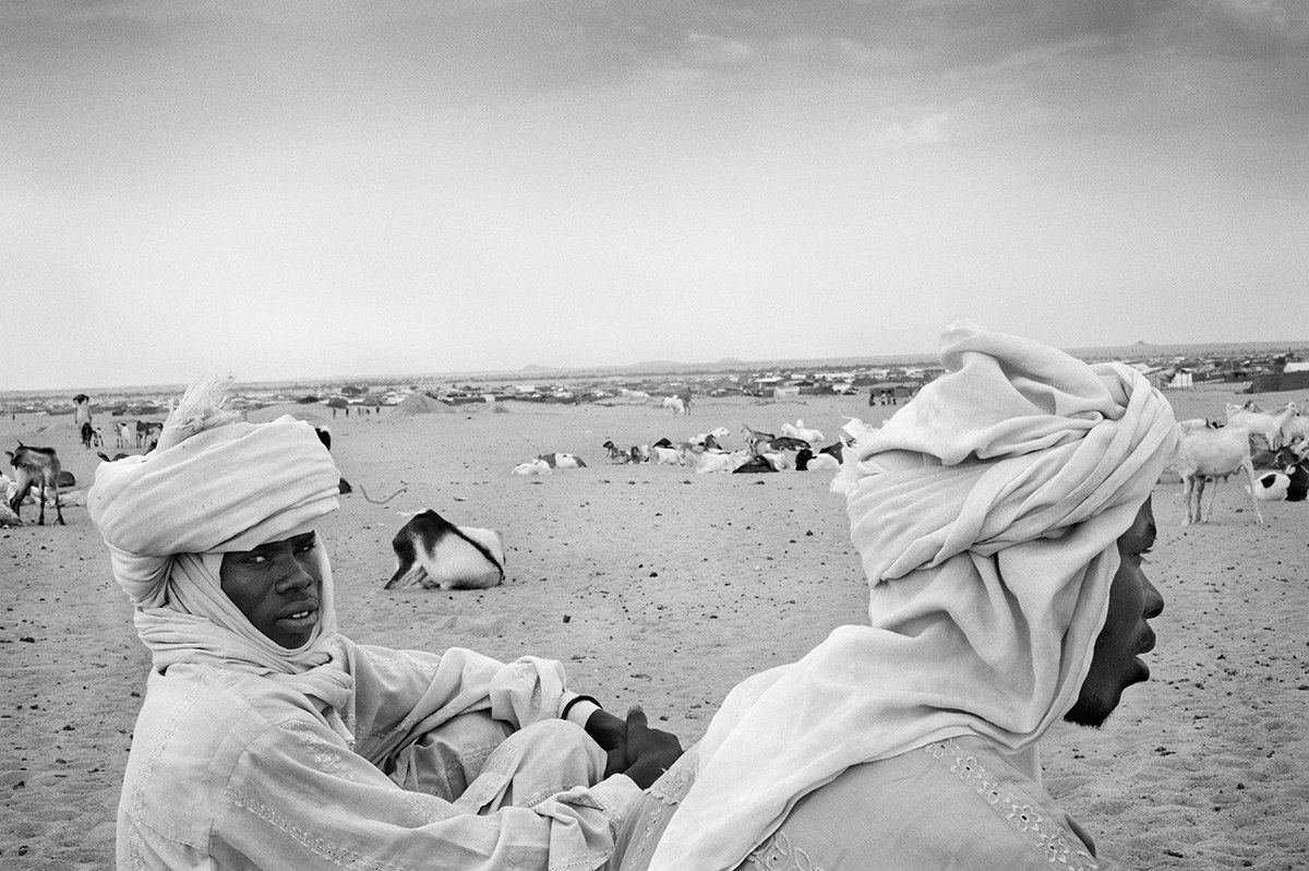 Herders sitting with their goats and livestock beside a displacement camp in Darfur, Sudan.