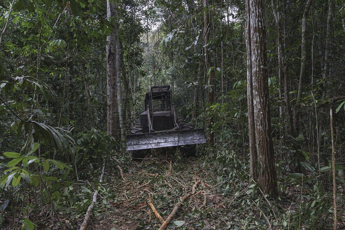Heavy machinery clearing trees inside the Amazon rainforest