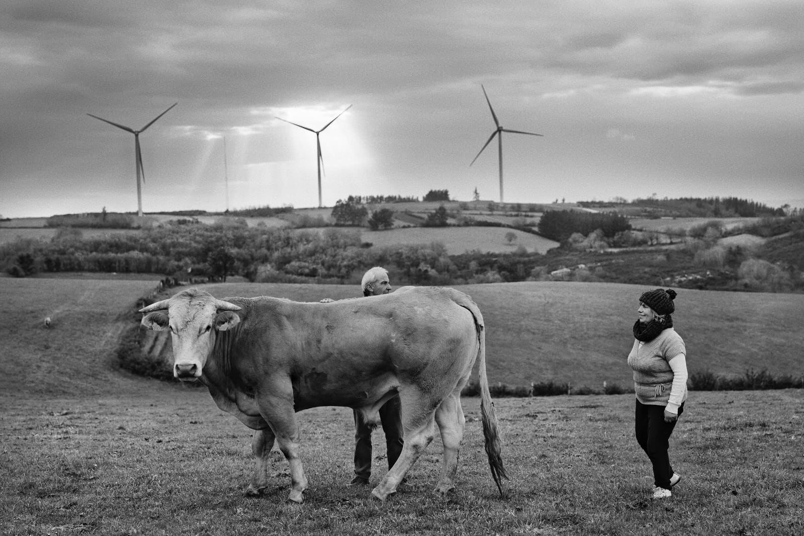 Farmers with their livestock beneath wind turbines in the meadows of Paradela, Galicia, Spain, 2022