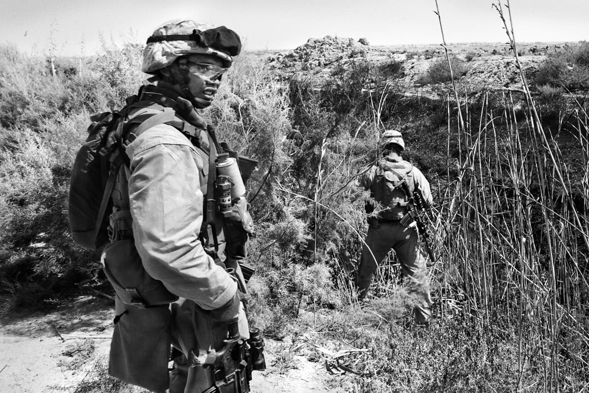 US Marines from Bravo Company push through dense vegetation along a riverbank in Fallujah while searching for an insurgent weapons cache